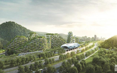 Przemyślane urbanistycznie Liuzhou Forest City w Chinach zapoczątkowało debatę na temat potrzeby zal