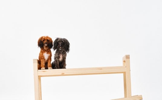 Nie powinniśmy traktować mebli zbyt serio – mówi Marta Krupińska, autorka ławki na biegunach tworząc