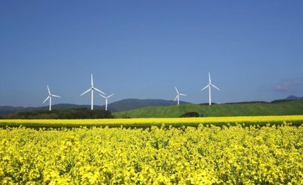 Japończycy zaczynają ekologiczną produkcję wodoru