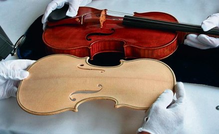 Oryginał i wycięta przez cyfrową obrabiarkę kopia stradivariusa