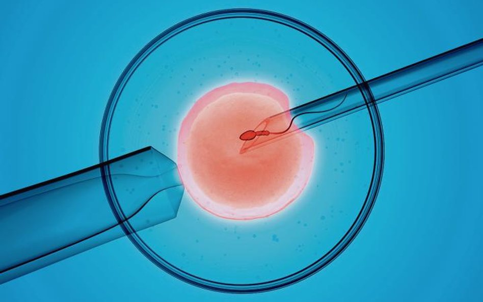 Po wyborach zmieniła się mapa in vitro