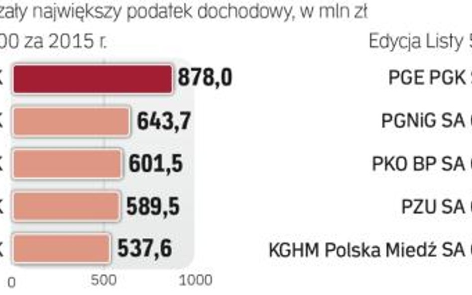Największymi płatnikami CIT pozostają spółki z udziałem Skarbu Państwa.