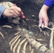 Gdańsk: W Nowym Porcie odnaleziono 14 ludzkich szkieletów