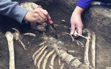 Gdańsk: W Nowym Porcie odnaleziono 14 ludzkich szkieletów