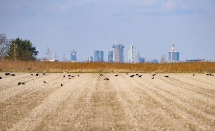 W ciągu trzech miesięcy od wejścia w życie ustawy, starostowie mają przygotować wykaz leżących w gra