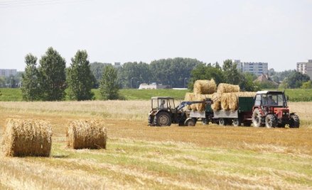 PiS w Wierzchosławicach przedstawi nowe propozycje dla rolników