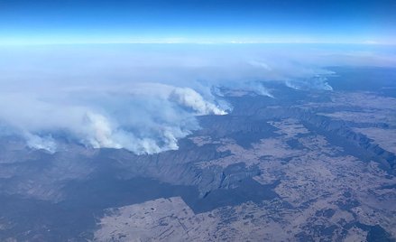 Kryzys po pożarach dotknął 75 proc. Australijczyków
