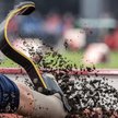 Doping, udawane kalectwo… Brzydsza strona igrzysk paraolimpijskich