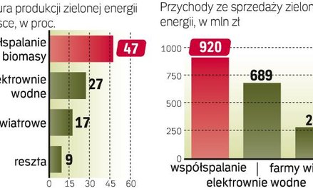 Biomasa i woda dają NAJWIĘCEJ ZIELONEJ ENERGII