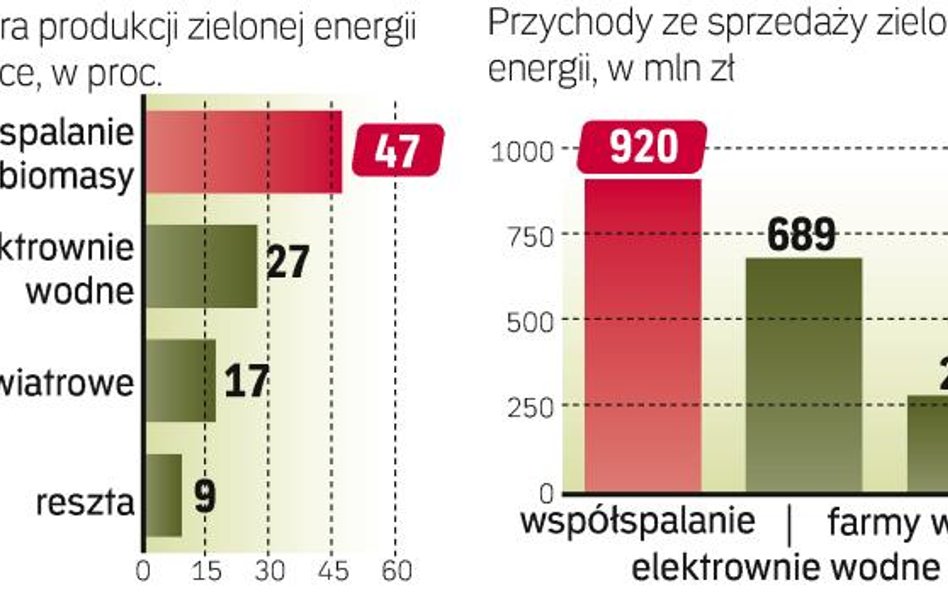 Biomasa i woda dają NAJWIĘCEJ ZIELONEJ ENERGII