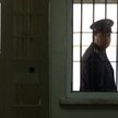 Maciej Małolepszy o tygodniowych karach więzienia