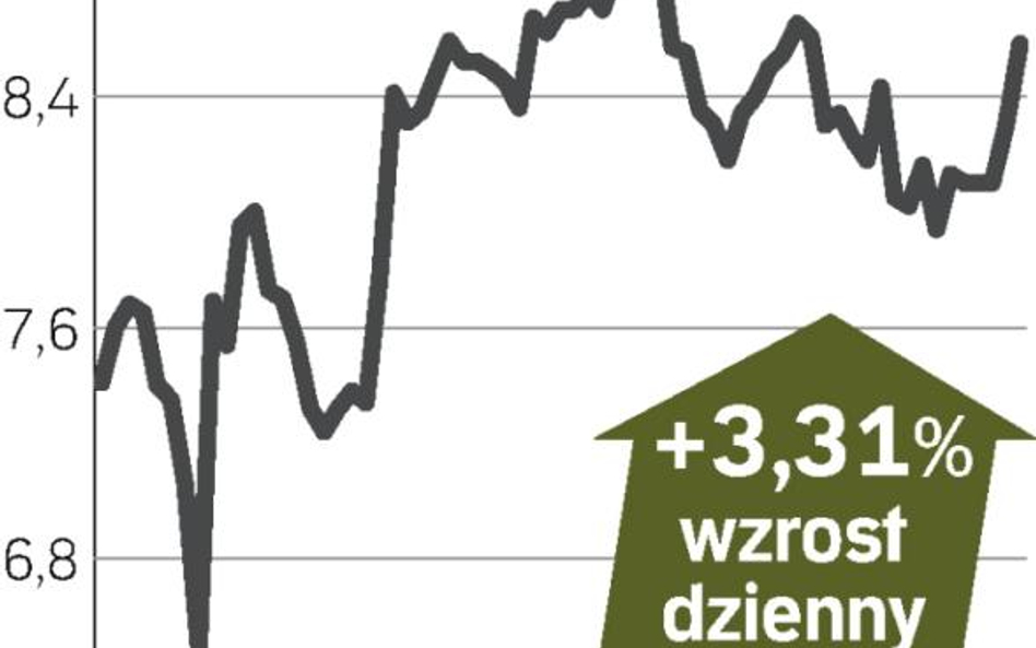 Hiszpanie odkupują udziały w Brazylii