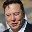 Po sondażu na Twitterze Elon Musk sprzedał akcje Tesli o wartości 5 mld dolarów