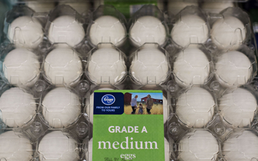 Niebezpieczna ptasia grypa gwałtownie winduje ceny jajek przed Wielkanocą
