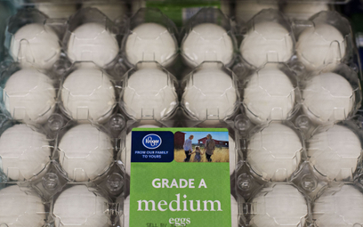 Niebezpieczna ptasia grypa gwałtownie winduje ceny jajek przed Wielkanocą