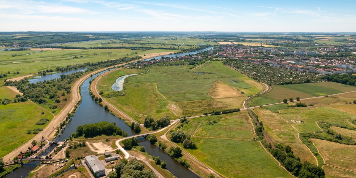 Park Narodowy Doliny Dolnej Odry wysycha: kanały praktycznie zniknęły