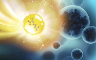 Nanocząstki i tandem peptydowy mają szansę unicestwić bakterie odporne na antybiotyki.