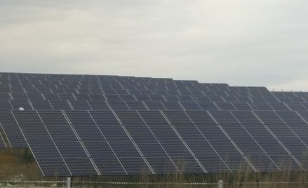PGE uruchamia farmę PV Bliskowice i pracuje nad kolejnymi projektami