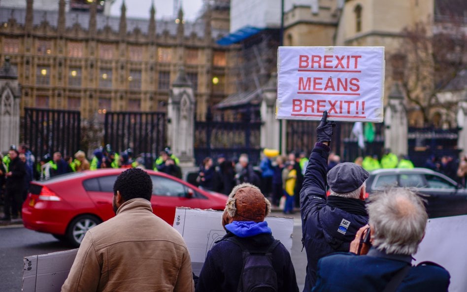"Brexit znaczy Brexit" - słynne powiedzenie ówczesnej premier Wielkiej Brytanii, Theresy May oznacza