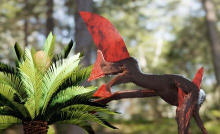 Policyjny wkład w paleontologię