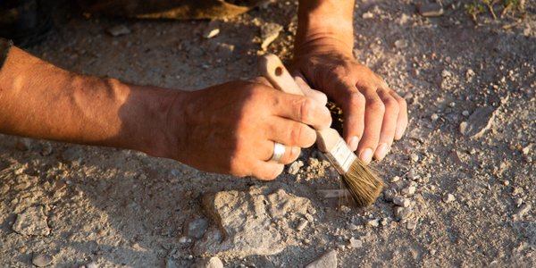 Ancient Greek curse tablet found buried under Dutch city of Heerlen