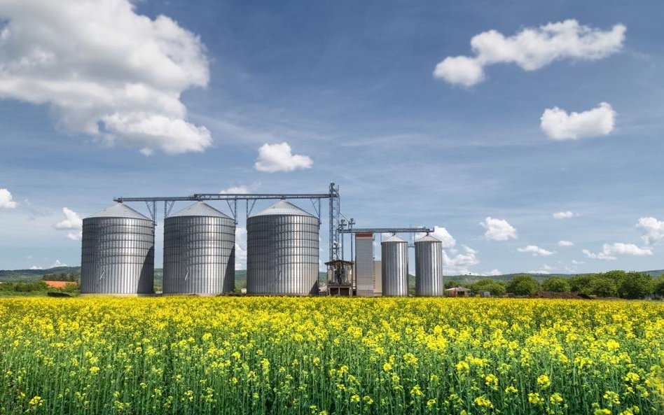 NSA: silos to budowla - dlatego trzeba zapłacić wyższy podatek od nieruchomości