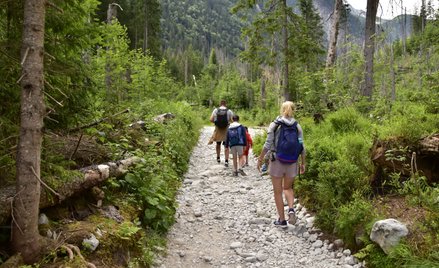 Turyści na szlakach w Tatrach