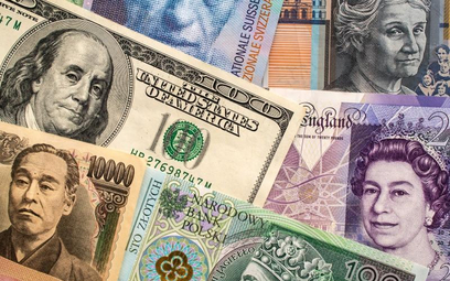 Wartość akcji zagranicznych, które OFE mają w swoich portfelach, przekroczyła już 9 mld zł.