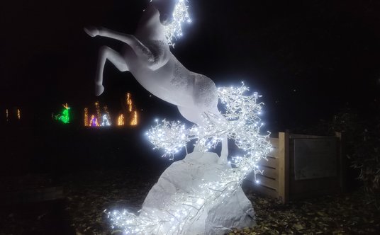 Jednorożec z MagicznegoBotanicznego