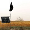 "Daesh pozwala pobierać organy od żywych ludzi"