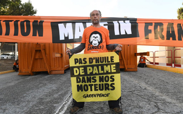 Protest Greenpeace przed rafinerią w La Mede