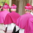 Dogłębne wyjaśnienie przypadków pedofilii w Kościele zależeć będzie od tego, jaki zakres prac biskup