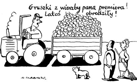 7 października 2011