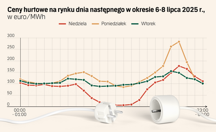 Eksperci chwalą pakiet antyblackoutowy, ale nie cały