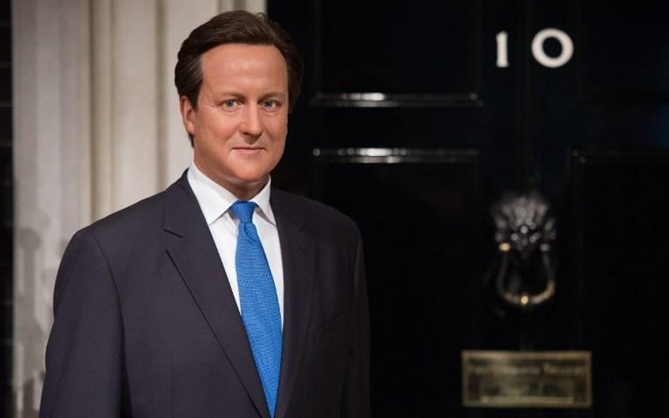 Premier Wielkiej Brytanii David Cameron