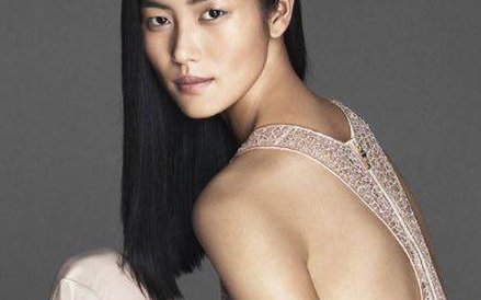 Liu Wen