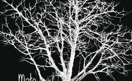 Literackie studium narodzin zła