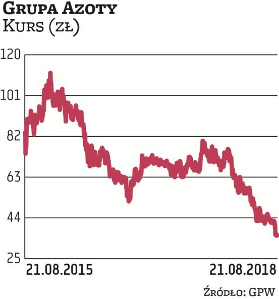 Azotowa grupa miała świetny 2015 r., w którym jej kurs podskoczył z 60 zł do ponad 100 zł. Kolejne l