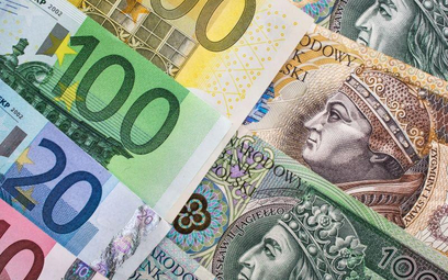 Opłaty za transakcje w euro takie jak w złotym