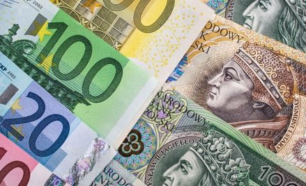 Opłaty za transakcje w euro takie jak w złotym