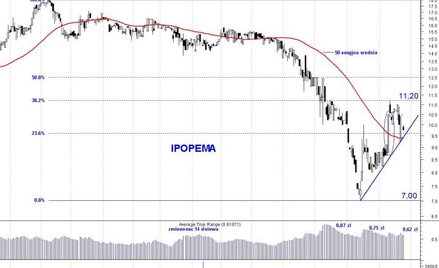 Ipopema Securities: silne wahania ceny akcji