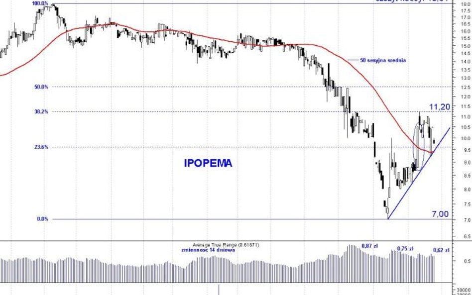 Ipopema Securities: silne wahania ceny akcji