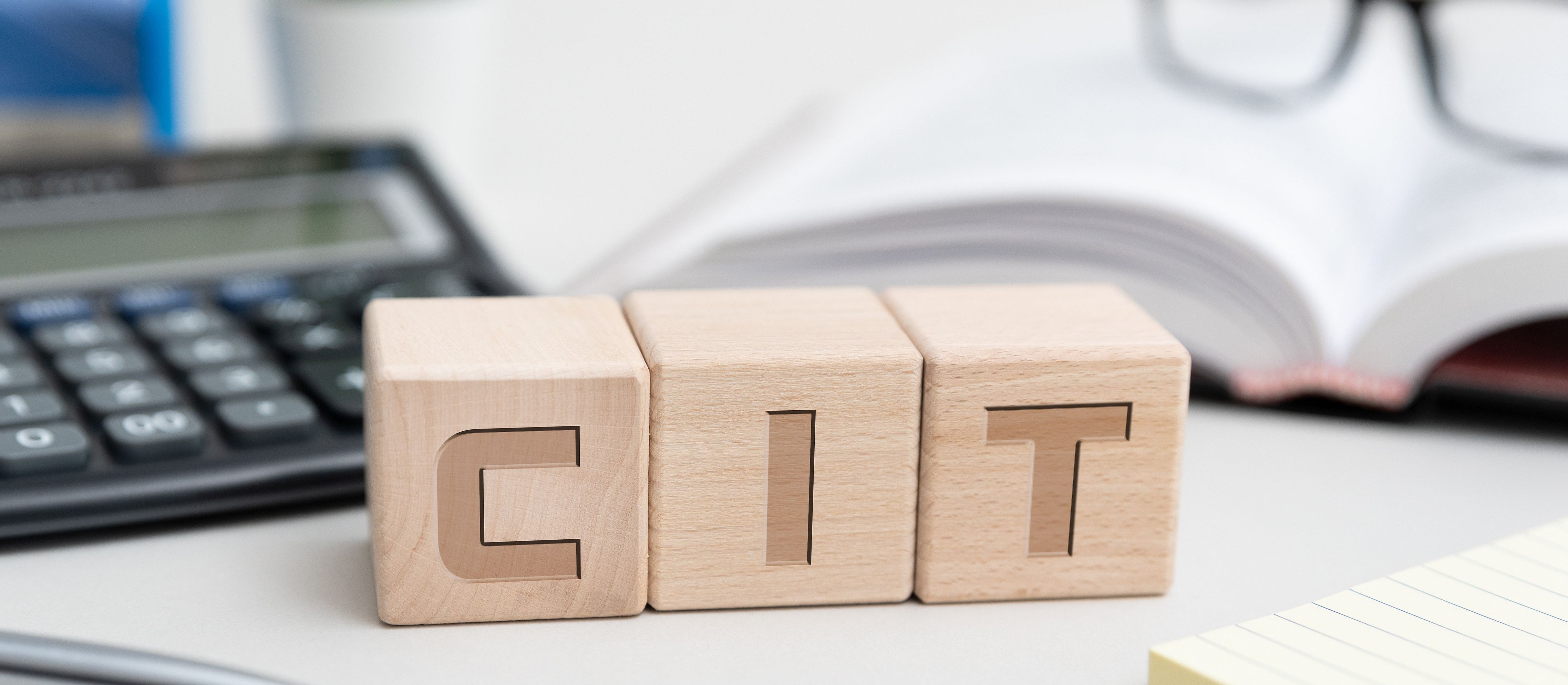 Kto oddaje najwięcej do budżetu?