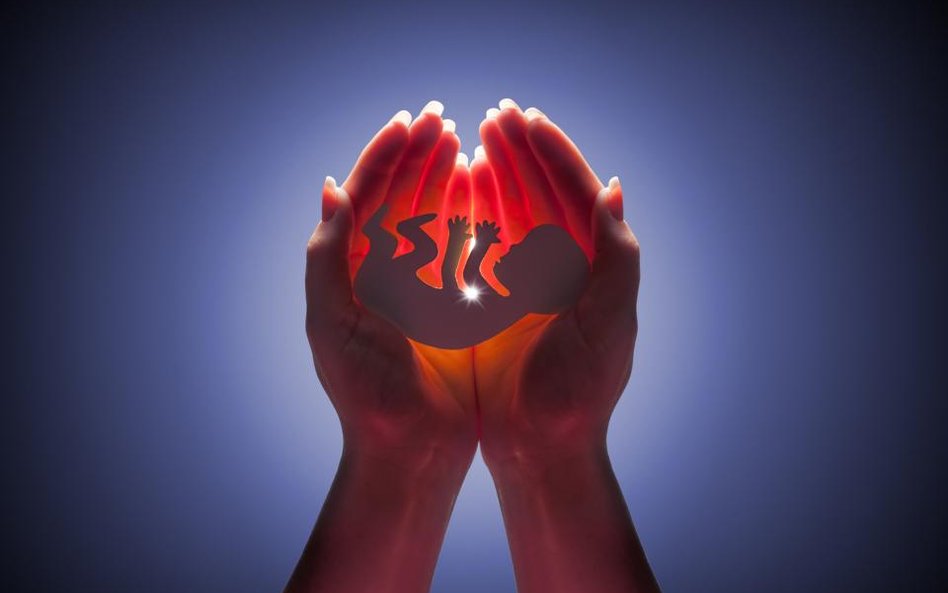 Ordo Iuris do ONZ: aborcja nie chroni życia ale je niszczy!