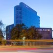 Comarch odkrywa dywidendowe karty