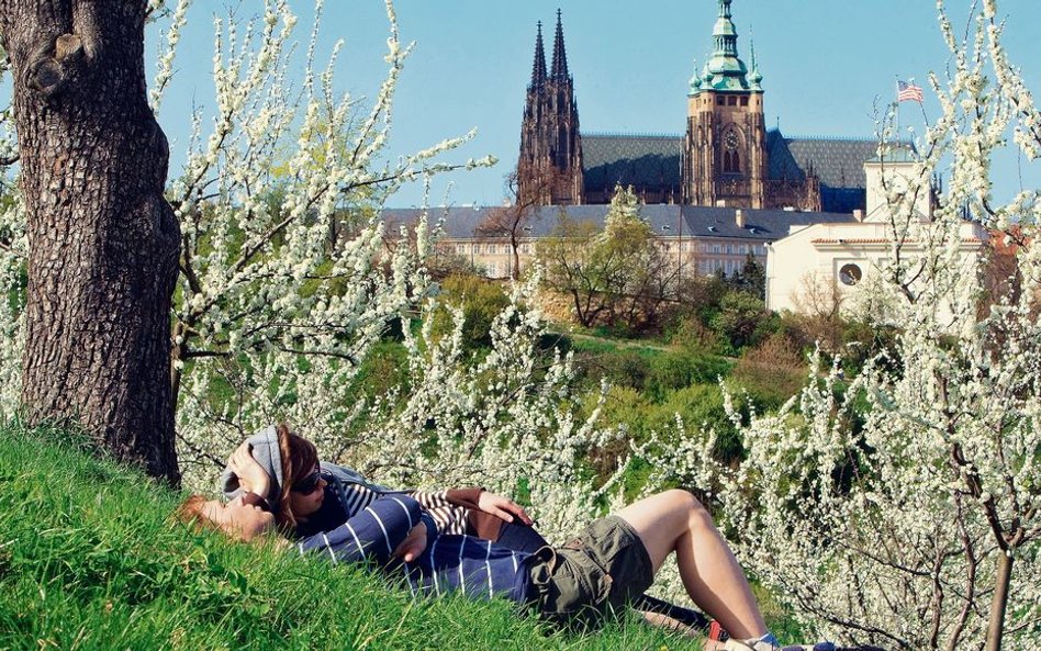 „Wystarczy znaleźć wolne drzewko, gdzie zgodnie z tradycją ma się dokonać zwieńczenie romantycznej s