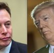 Elon Musk i Donald Trump