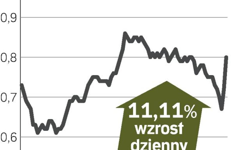 Boryszew ma kontrakt z VW