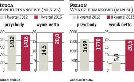 Kolejny dobry kwartał Pelionu i Neuki