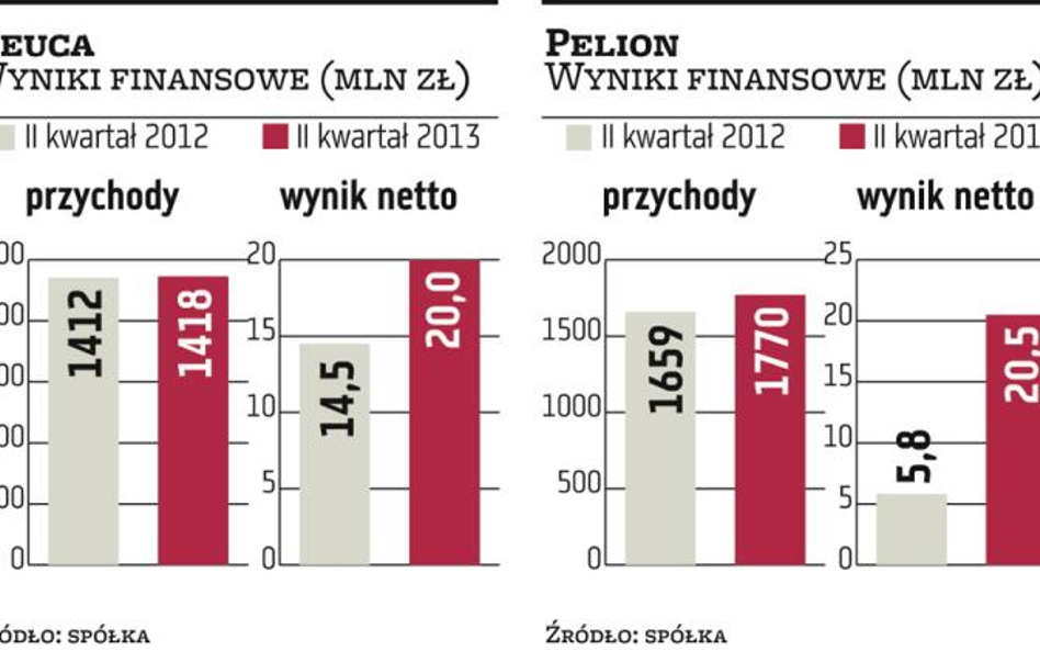 Kolejny dobry kwartał Pelionu i Neuki